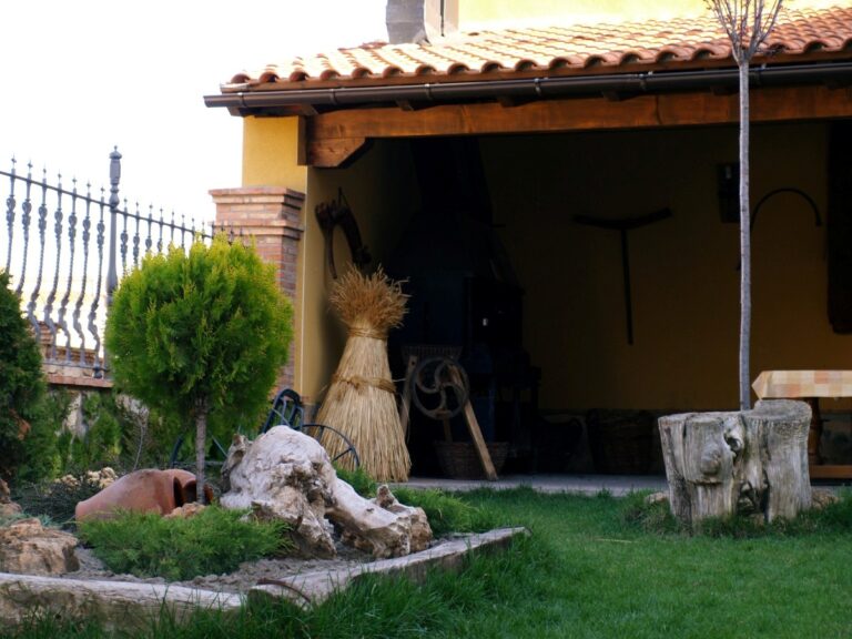 barbacoa 768x576