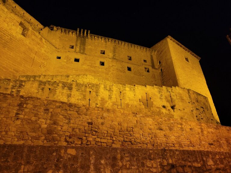 20230728 230942 768x576