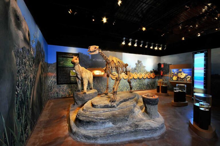 Region Ambarina 1 768x510