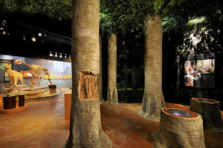 Region Ambarina 5 768x510