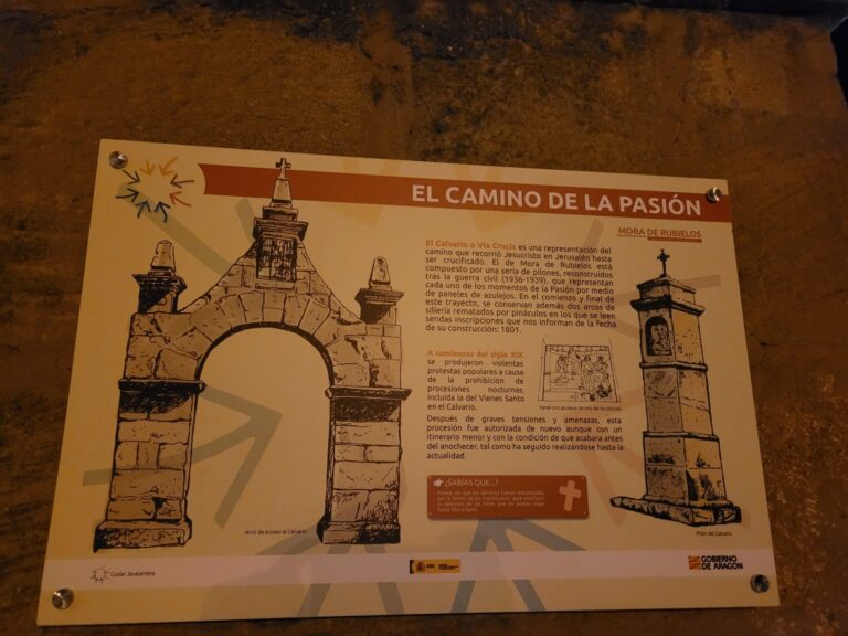 20230804 225126 768x576