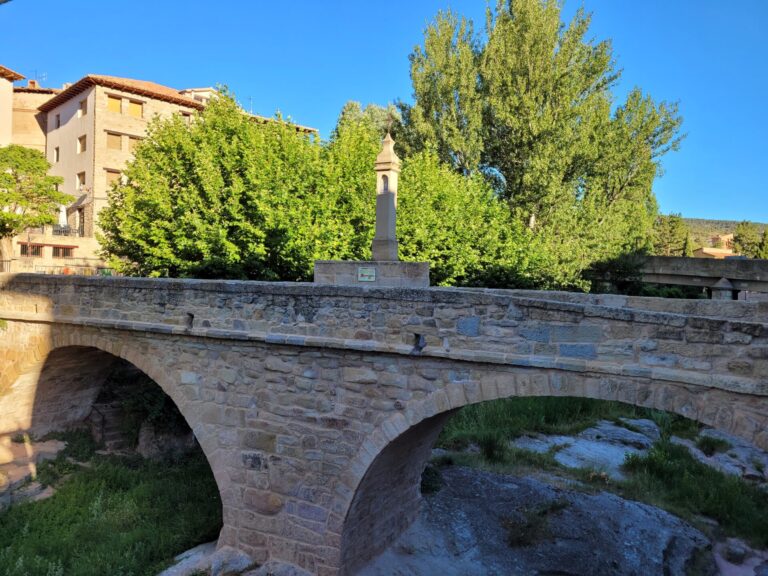 20230805 082956 768x576