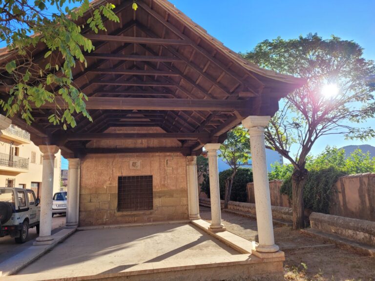 20230805 083724 768x576