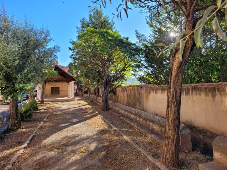 20230805 083752 768x576