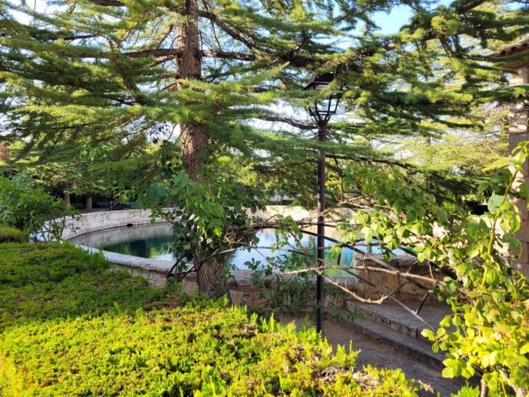 20230821 184743 768x576