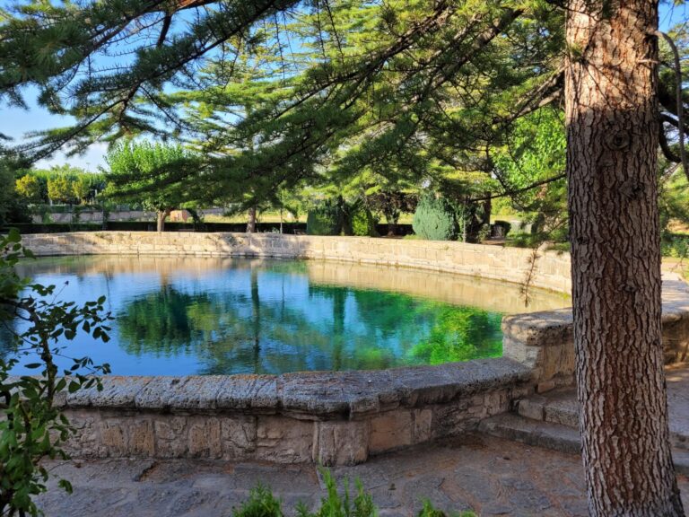 20230821 184809 768x576