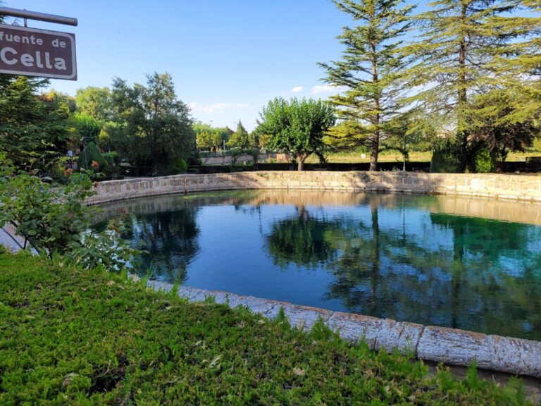 20230821 184820 768x576