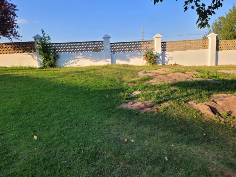 20230823 195541 768x576