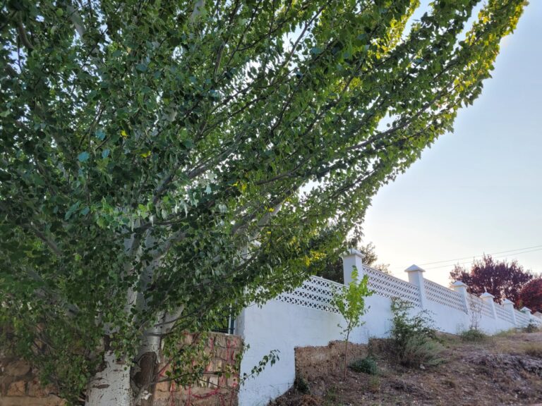 20230823 200024 768x576